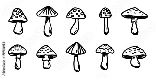 Hand drawn mushroom doodle set Botanical illustration Cute autumn mushroom Healthy eco food Organic vegetarian food For stickers, greeting card, design, print, packaging, decor, kids books