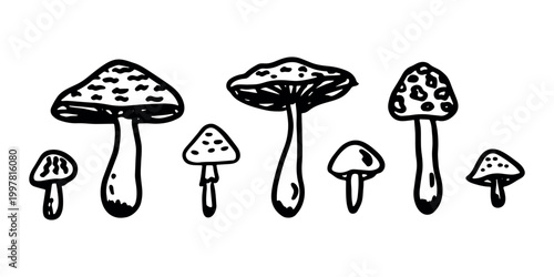 Hand drawn mushroom doodle set Botanical illustration Cute autumn mushroom Healthy eco food Organic vegetarian food For stickers, greeting card, design, print, packaging, decor, kids books
