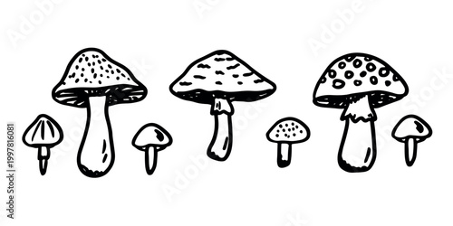 Hand drawn mushroom doodle set Botanical illustration Cute autumn mushroom Healthy eco food Organic vegetarian food For stickers, greeting card, design, print, packaging, decor, kids books