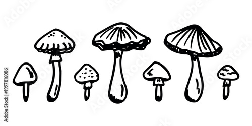 Hand drawn mushroom doodle set Botanical illustration Cute autumn mushroom Healthy eco food Organic vegetarian food For stickers, greeting card, design, print, packaging, decor, kids books