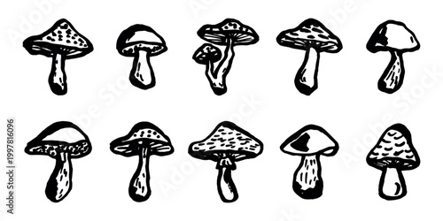 Hand drawn mushroom doodle set Botanical illustration Cute autumn mushroom Healthy eco food Organic vegetarian food For stickers, greeting card, design, print, packaging, decor, kids books