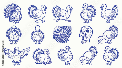 A collection of hand-drawn blue ink sketches of various turkey poses and details, perfect for Thanksgiving or farm-themed designs.