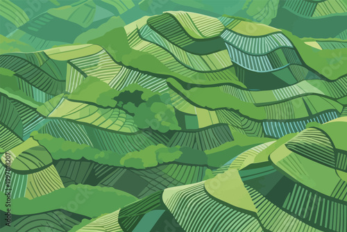 Aerial View of Green Terraced Fields Landscape