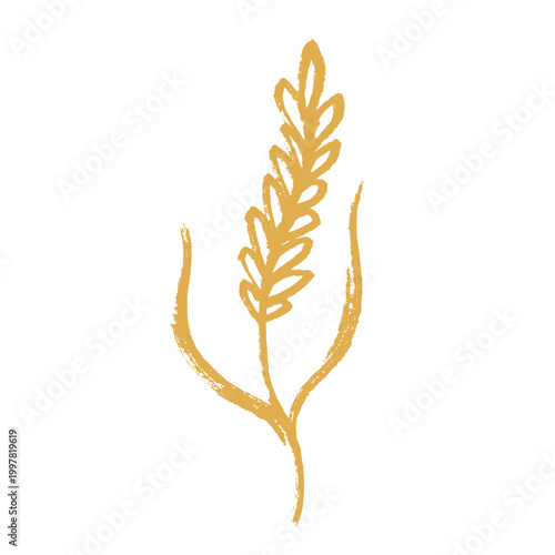 Hand drawn cereal wheat oat rye barley rice ears spikelet clipart Organic wheat bread agriculture farming harvest healthy food Single element for print packaging label design decor