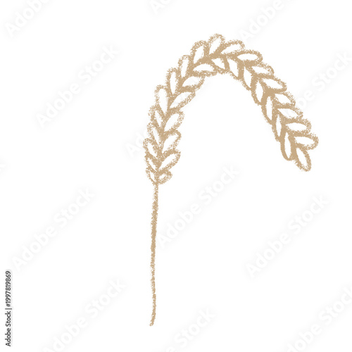 Hand drawn cereal wheat oat rye barley rice ears spikelet clipart Organic wheat bread agriculture farming harvest healthy food Single element for print packaging label design decor