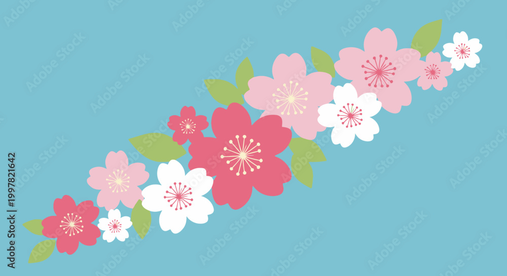 Fototapeta premium Pink and White Flowers.