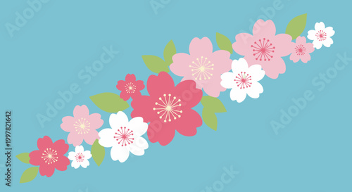 Pink and White Flowers.