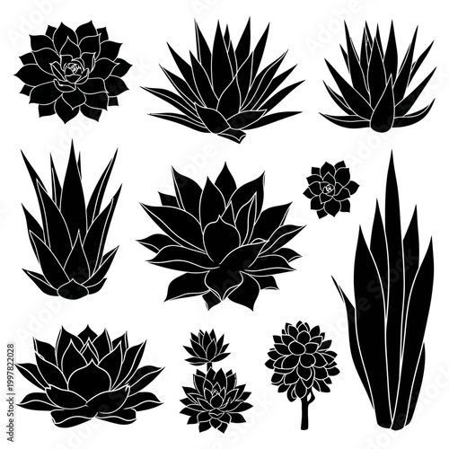 Collection of black succulent plant silhouettes on white background