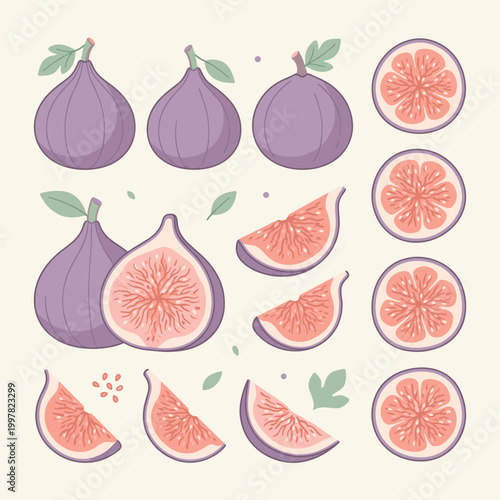 An exquisite collection of fresh purple fig illustrations, featuring whole fruits, halves, and multiple wedges with their vibrant pink interiors visible, alongside delicate green leaves.
