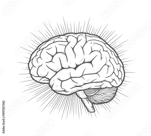 Hand drawn human brain with radiating lines in black and white head mind thought