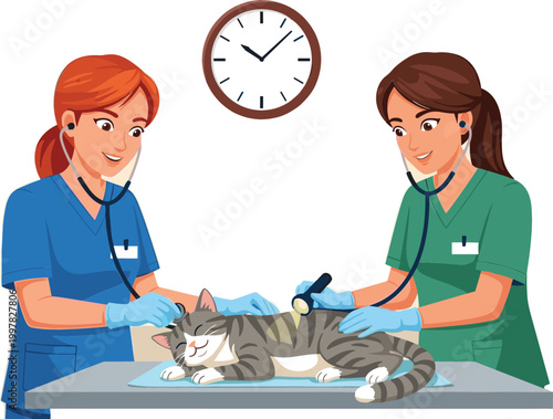 Veterinarians examining cat on clinic table with stethoscope, professional animal healthcare scene, detailed cartoon vector illustration for pet care and medical themes