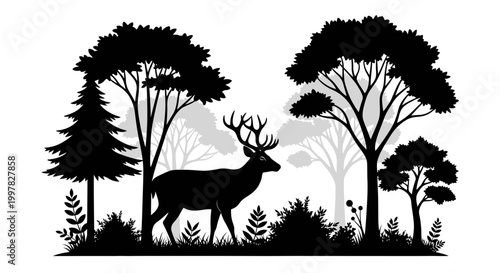 Foto Deer with large antlers walking slowly.