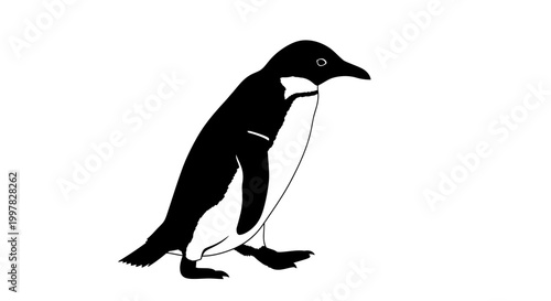 Tablou pe pânză Little penguin standing on white background.