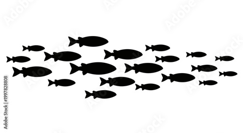 School of Fish Swimming Together.