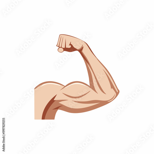 力こぶを作る男性の腕の筋肉のイラスト