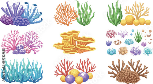 Coral reef and seaweed collection with colorful marine plants underwater ocean elements isolated vector illustration set