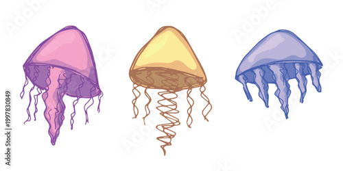 Set of hand drawn jellyfish doodle Sea animal illustration Cute marine underwater creature Medusa sketch clipart Single element for web, design, decor, children's print