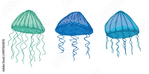 Set of hand drawn jellyfish doodle Sea animal illustration Cute marine underwater creature Medusa sketch clipart Single element for web, design, decor, children's print