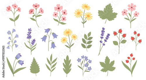 A collection of colorful hand-drawn botanical illustrations featuring various small flowers, berries, and green leaves arranged neatly on a plain off-white background.