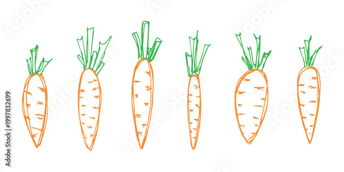 Hand drawn farm carrot plant with green leaves Fresh vegetable doodle set Healthy eco food Organic garden vegetarian food For design, print, packaging, decor, kids books