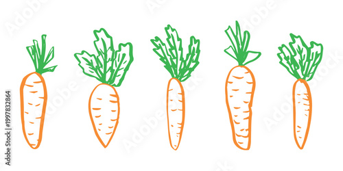 Hand drawn farm carrot plant with green leaves Fresh vegetable doodle set Healthy eco food Organic garden vegetarian food For design, print, packaging, decor, kids books