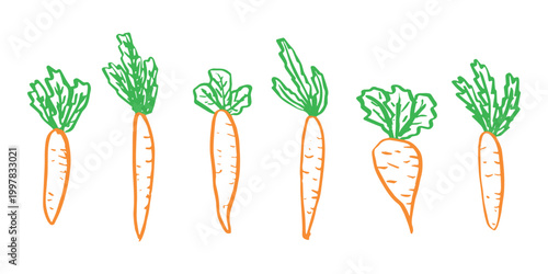Hand drawn farm carrot plant with green leaves Fresh vegetable doodle set Healthy eco food Organic garden vegetarian food For design, print, packaging, decor, kids books