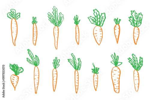 Hand drawn farm carrot plant with green leaves Fresh vegetable doodle set Healthy eco food Organic garden vegetarian food For design, print, packaging, decor, kids books