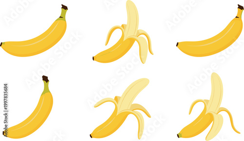 Banana fruit set with whole and peeled bananas, fresh tropical food ingredient vector illustration collection isolated on background