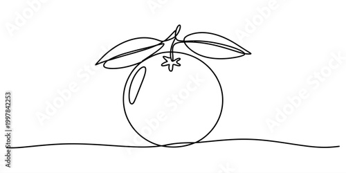 Continuous single line drawing of a fresh orange fruit with leaves Vector, illustration