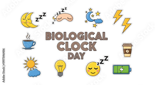 Illustrated with a flat lay style, the biological clock day concept features a circadian rhythm illustration surrounded by icons representing the sleep wake cycle and daily routines