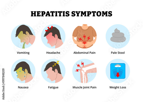 Hepatitis symptoms icon. Labeled vomiting, headache, abdominal pain pale stool, nausea fatigue, muscle joint pain, weight loss. Medical science educational illustration.
