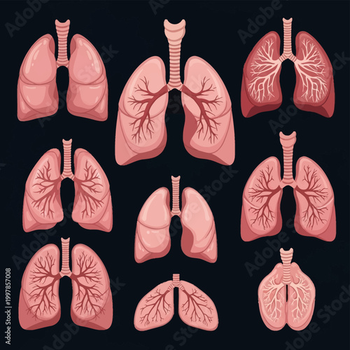 Set of nine detailed medical illustrations of human lungs showing internal bronchial tree structures, trachea, and respiratory anatomy isolated on a dark background.