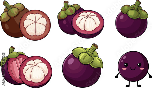 Mangosteen fruit collection with whole and cut pieces, tropical exotic food and cute character vector illustration set