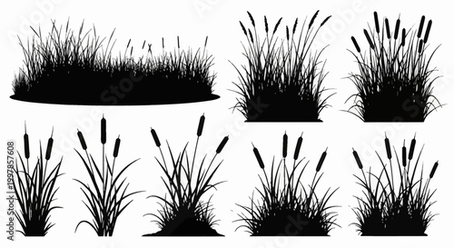 Collection of black silhouettes featuring various cattails, bulrushes, and wetland grass tufts isolated on white. Botanical elements for landscape design, nature scenes, and borders.