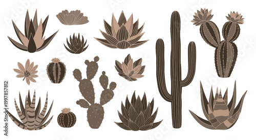 Stylized collection of various desert plants including saguaro cactus, prickly pear, agave, and aloe succulents in muted earthy brown and tan tones isolated on a white background.