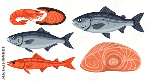 Vector collection of seafood illustrations featuring whole salmon, trout, red snapper, cooked shrimp, raw salmon steak, and fresh fish fillet isolated on white background.