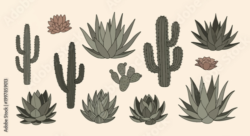 Stylized collection of desert plants including saguaro cacti, prickly pear, and various agave succulents with thick outlines and muted green and brown tones on a beige background.