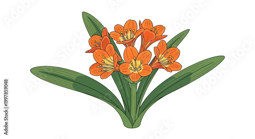 A cluster of vibrant orange clivia flowers with lush green leaves.