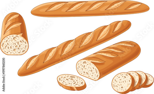 Golden Crust French Baguettes with Crispy Exterior and Airy Crumb Texture Vector