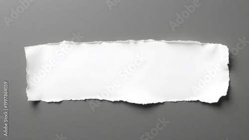 Torn Piece of Paper Isolated on Clean Background Surface