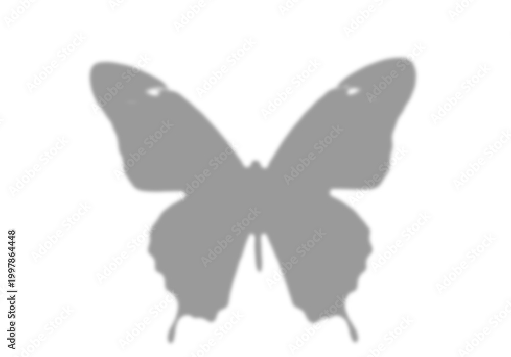 Fototapeta premium butterfly shadow overlay minimal background nature light silhouette product backdrop
