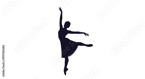Graceful silhouette of a professional ballerina dancer performing an elegant pose on tip-toe isolated on a white background.