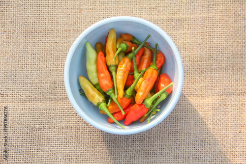 Bild auf Leinwand Bird's Eye Chili peppers (Capsicum frutescens) appearing to spill out from a light blue ceramic bowl