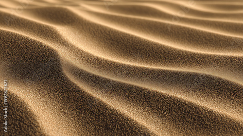 Sand dune pattern in warm desert light with wavy textured shapes, detailed with soft shadows