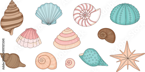 Tropical seashell and starfish vector set featuring nautical marine life for summer beach coastal education design.