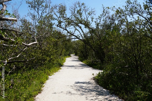 Narrow dirt path winds through dense green vegetation and arching branches near DeSoto National Memorial Park, Bradenton, Florida, U.S