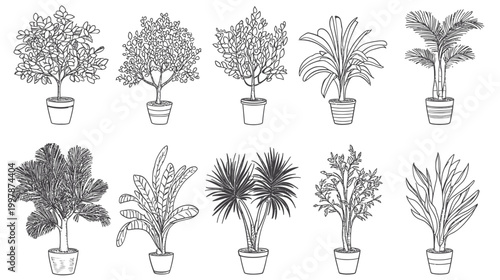 Collection of ten potted houseplants in a clean line drawing style.