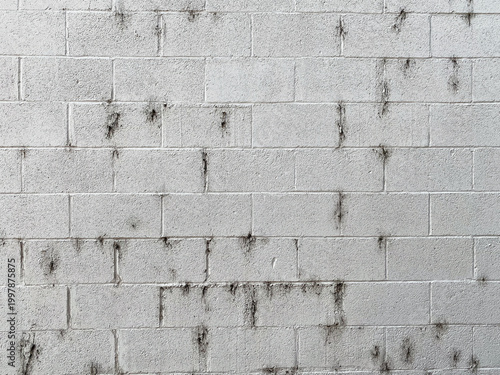 Foto A white concrete block wall with rough texture shows patches of dark mold and st
