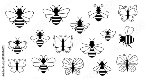 Photos Collection of Hand Drawn Bee and Butterfly Illustrations.