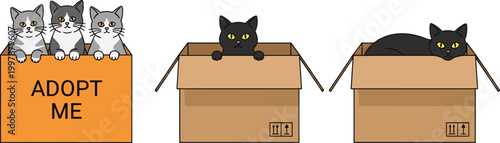 Adoptable Kittens and Cats in Boxes with "Adopt Me" Signs for Animal Rescue, Pet Adoption, and Animal Shelter Design Projects